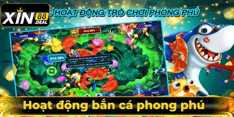 Hoat-dong-ban-ca-phong-phu