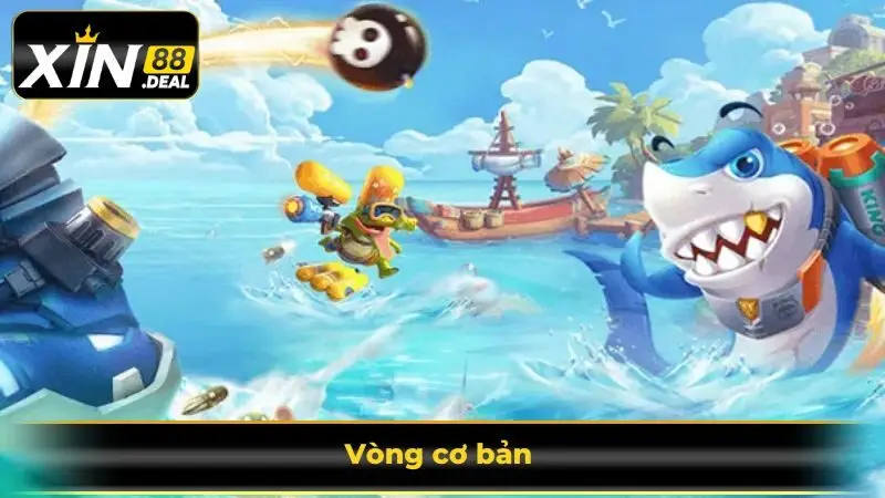 Vong-co-ban-la-vong-de-nhat-tai-he-thong-cua-chung-toi